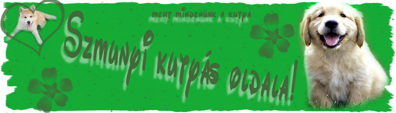 Istenhozott mindenkit Szmunyi Kutys s minden ms portljn!!